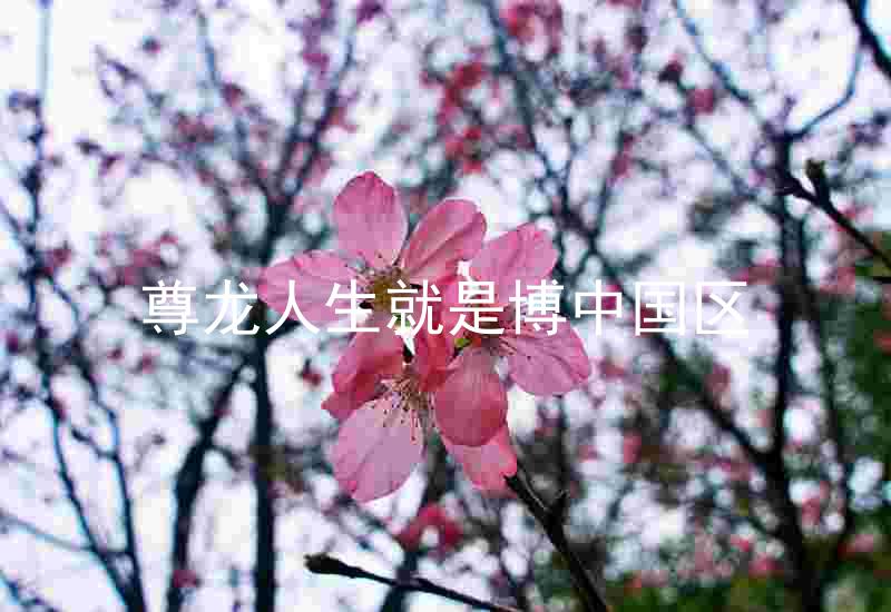 尊龙人生就是博中国区