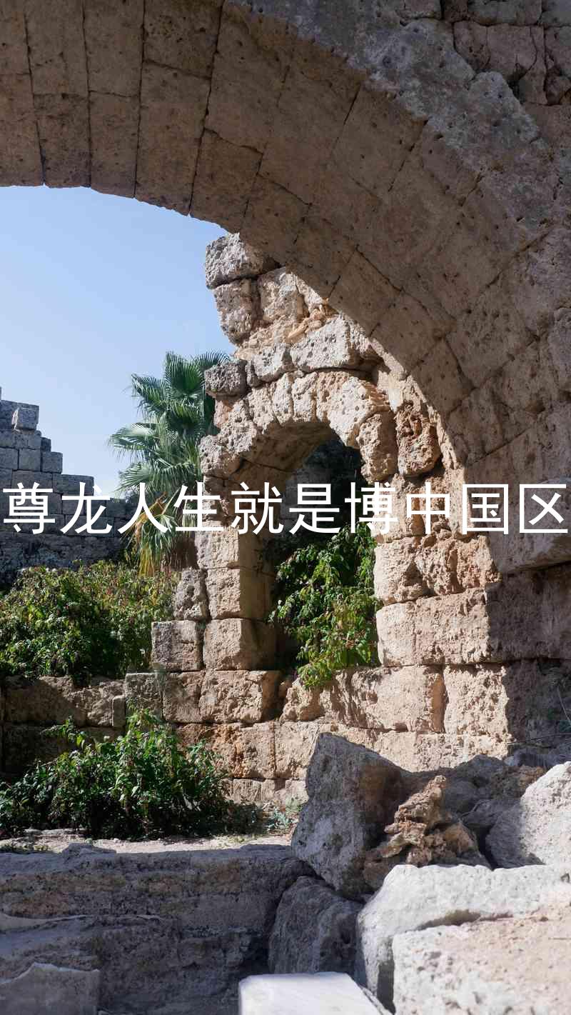 尊龙人生就是博中国区