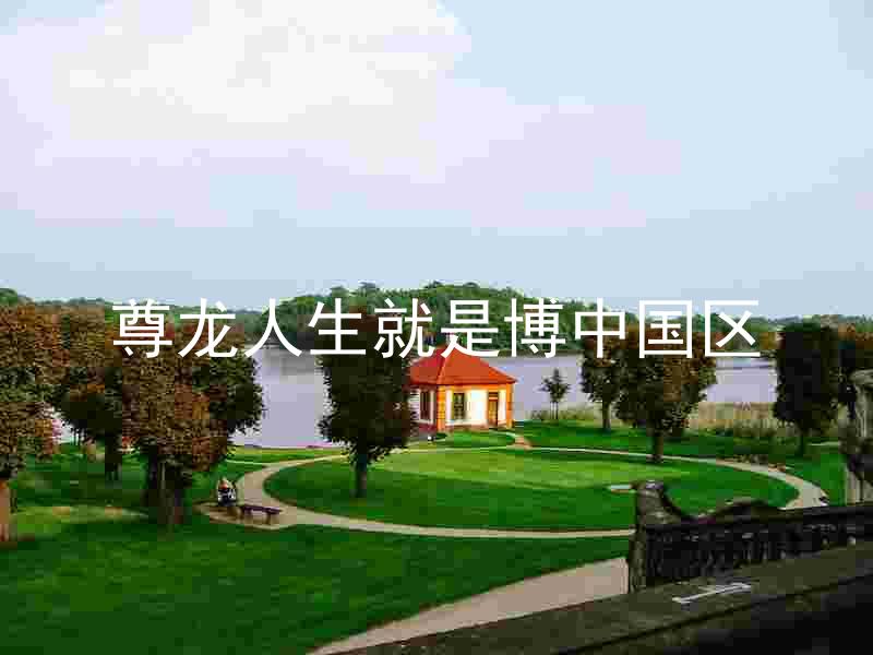 尊龙人生就是博中国区