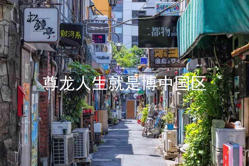 尊龙人生就是博中国区