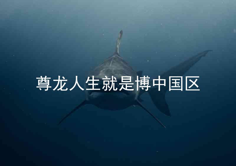 尊龙人生就是博中国区